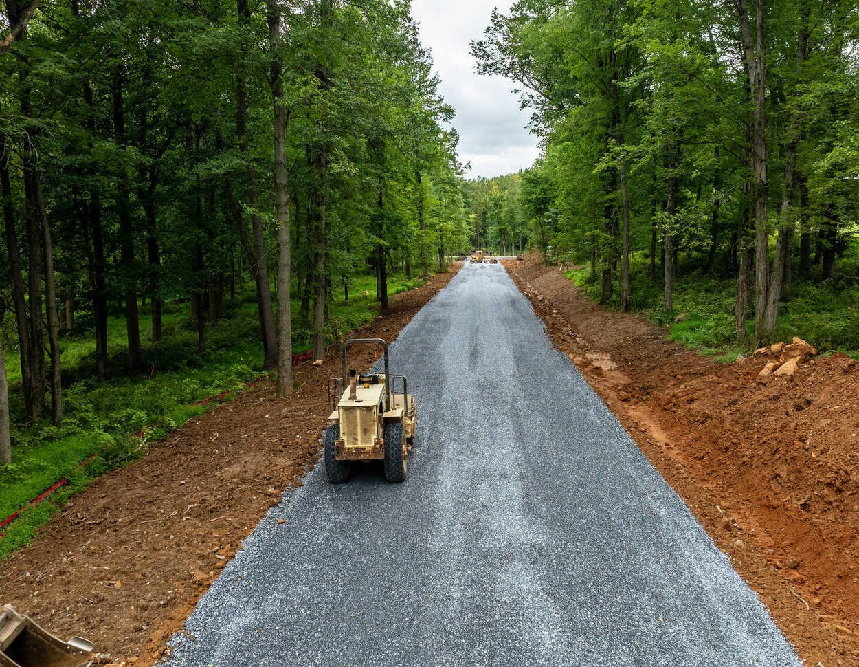 Artikelbild der Quelle zu: Windparkbetreiber asphaltiert Straße durch Wald - ohne Genehmigung