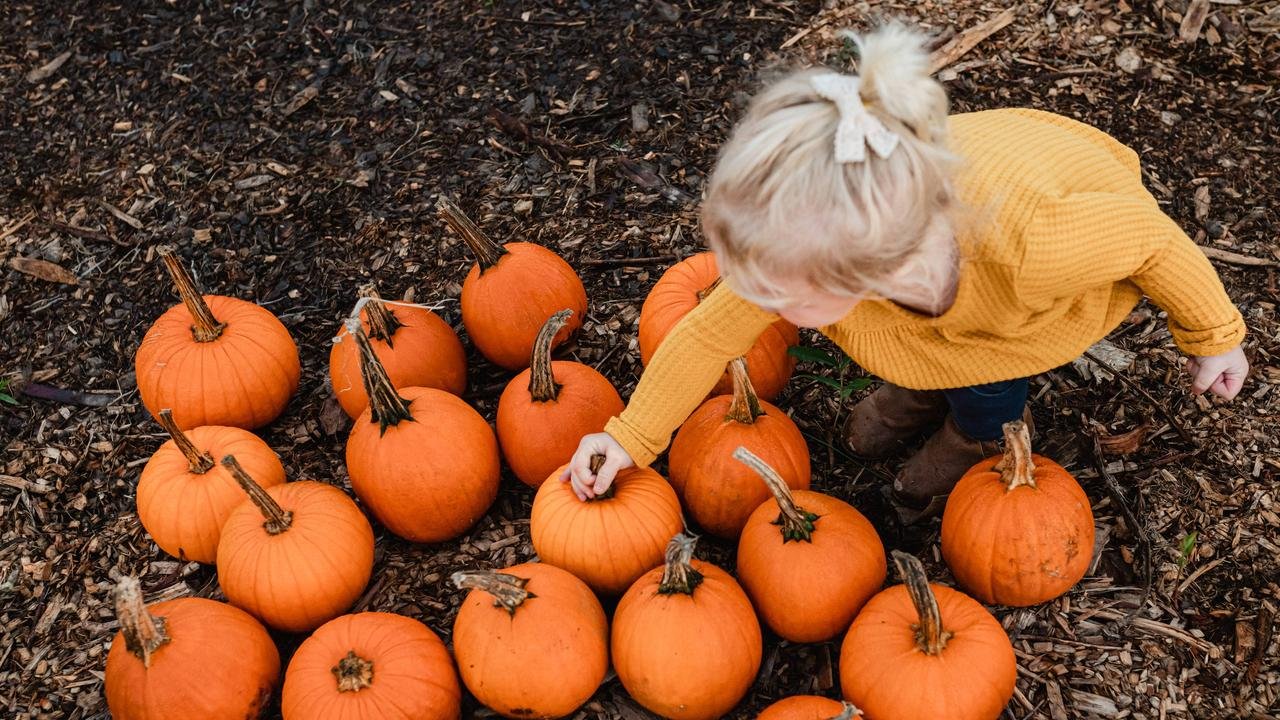 Artikelbild der Quelle zu: Mit diesen Tipps werden eure Herbstferien zum Hit