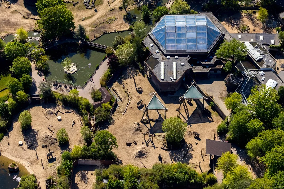 Artikelbild der Quelle zu: Extrem seltene Tierart in NRW-Zoo geboren – aber Besucher müssen sich gedulden