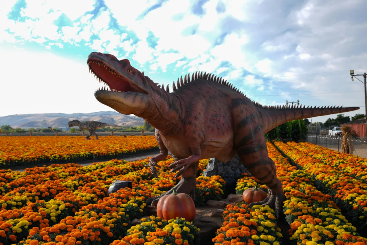 Artikelbild der Quelle zu: Spektakel in einem Zoo in Holland: Dinos nahe NRW zu entdecken