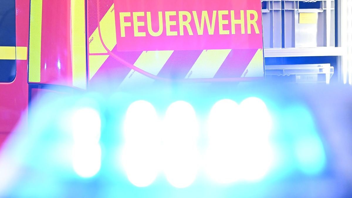 Artikelbild der Quelle zu: Nordrhein-Westfalen: Verunglücktes Kleinflugzeug hängt in Baumkronen fest