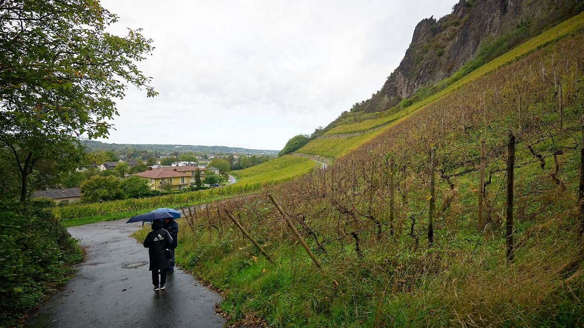 Artikelbild der Quelle zu: Nordrhein-Westfalen: Verregnetes Herbstwetter in NRW - viel Wind erwartet