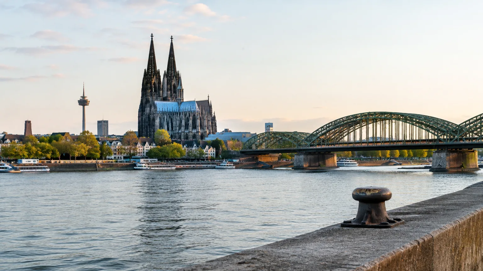Illustration zum Thema: Studie: Kölner suchen beim Thema Darm über dem Erwartungswert