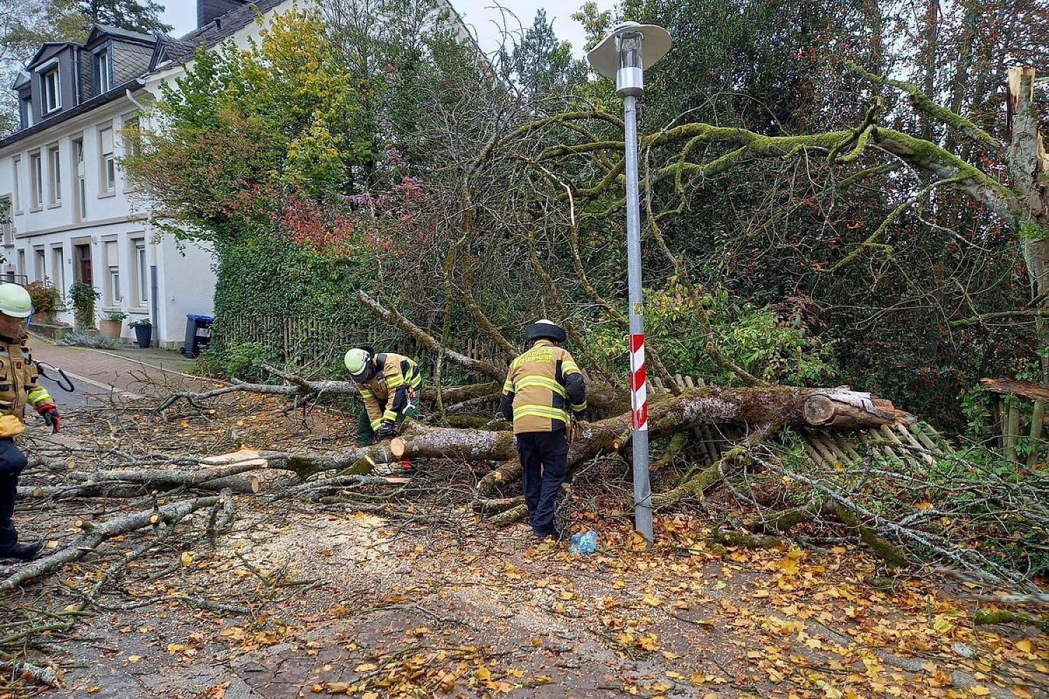 Artikelbild der Quelle zu: News, Nordrhein-Westfalen, Regional: Baum stürzt auf Straße in Herdecke