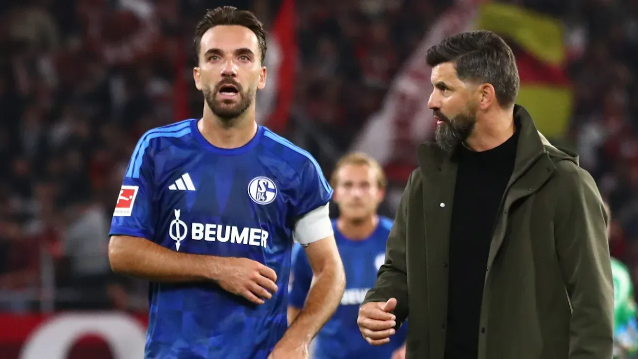 Artikelbild der Quelle zu: Schalke 04: Es wird stürmischer – das Ende der Aufstiegs-Kuschelei!