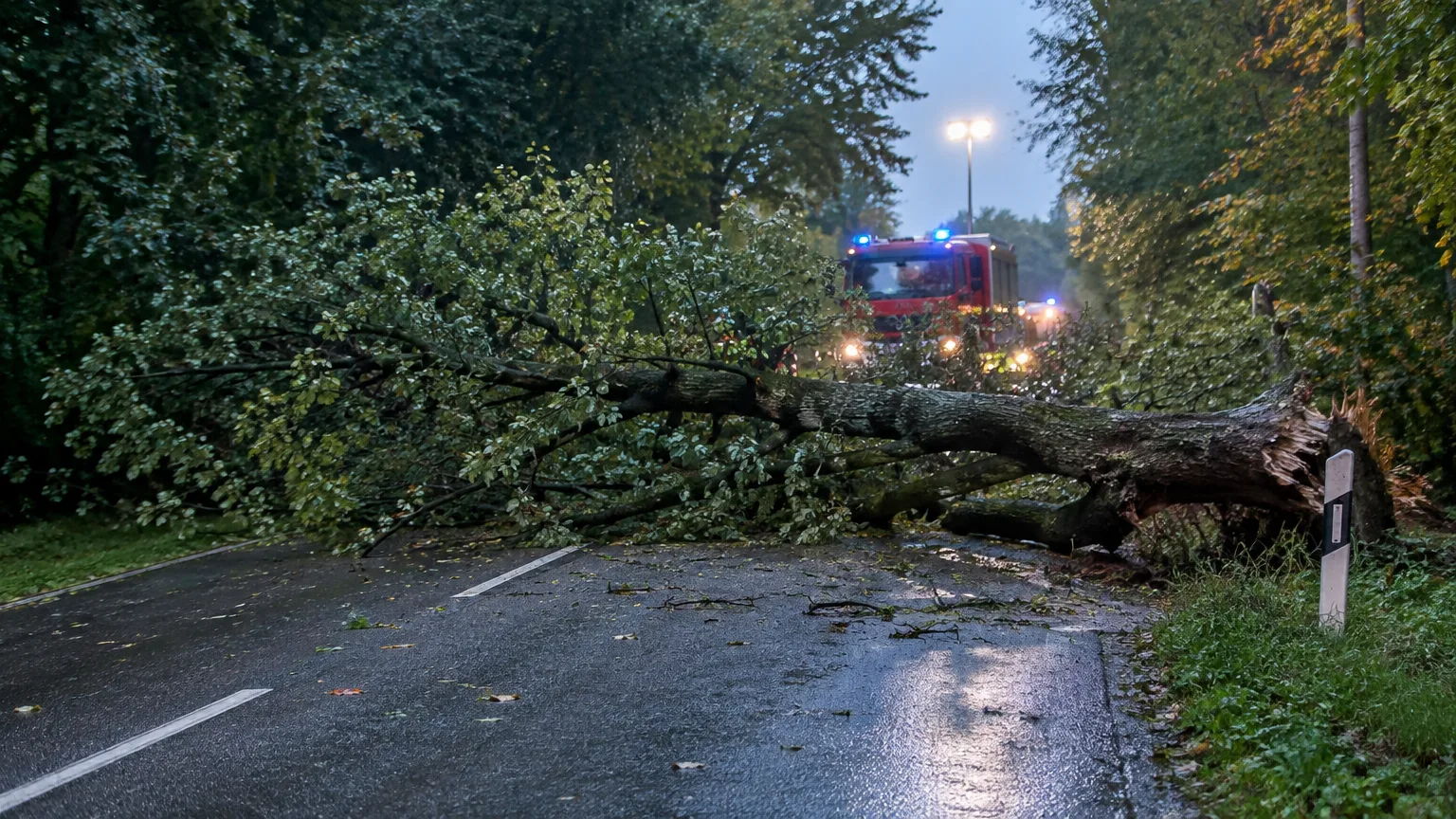 Illustration zum Thema: Vermisstensuche in Gronau eingestellt – Baum sperrt Dinslakener Straße in Hünxe