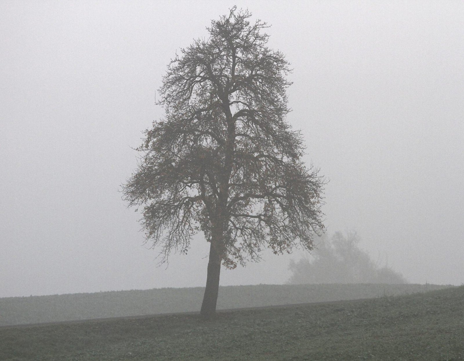 Artikelbild der Quelle zu: Wetterbericht für Nordrhein-Westfalen (12.10.2026)