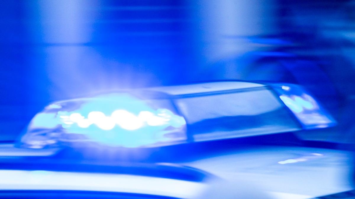 Artikelbild der Quelle zu: Nordrhein-Westfalen: Einbrecher stehlen über 20 Geigen und Dutzende Geigenbögen