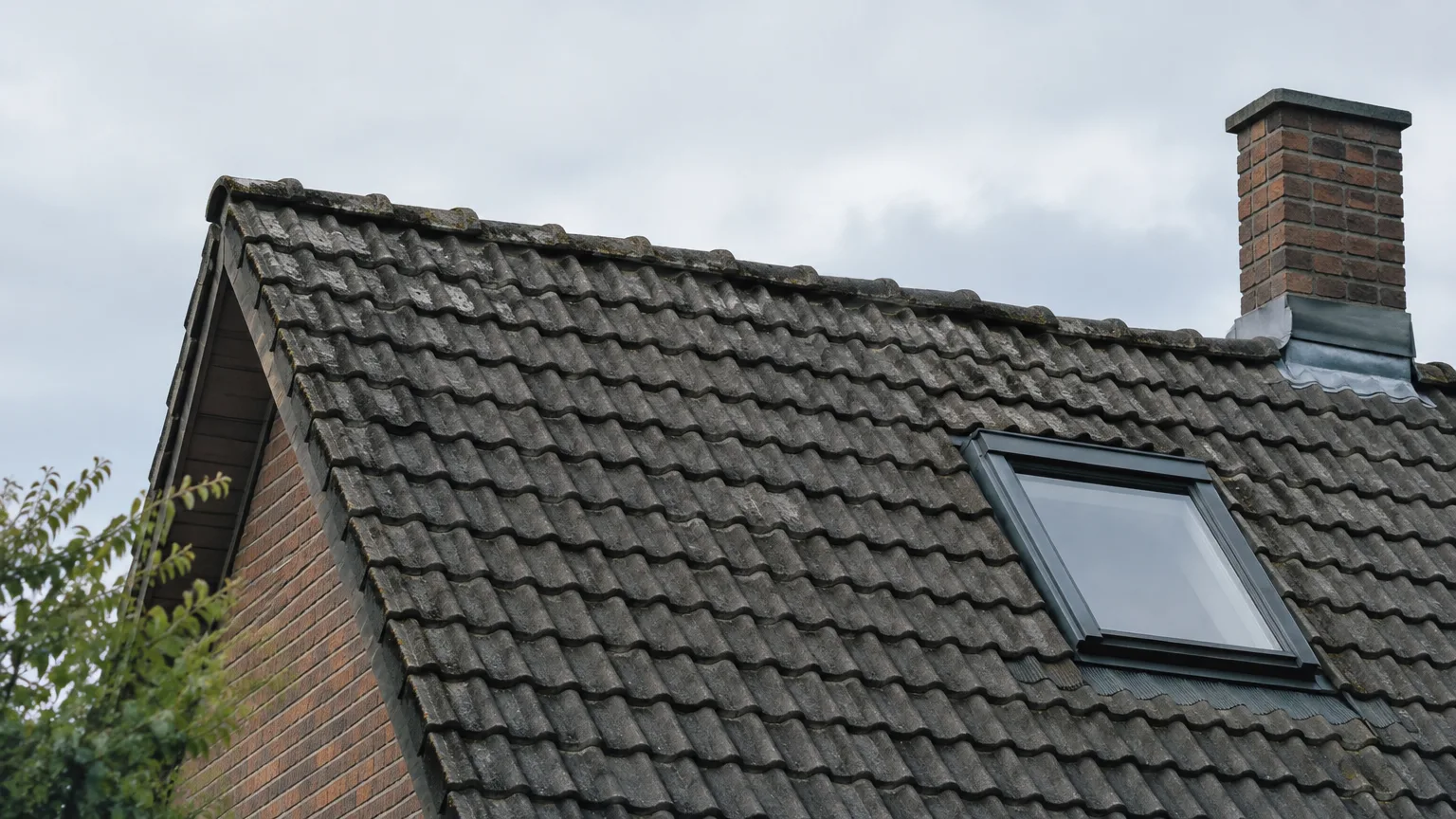 Illustration zum Thema: Feuerwehr Lüttingen rettet Katze vom Dach eines Wohnhauses in Xanten