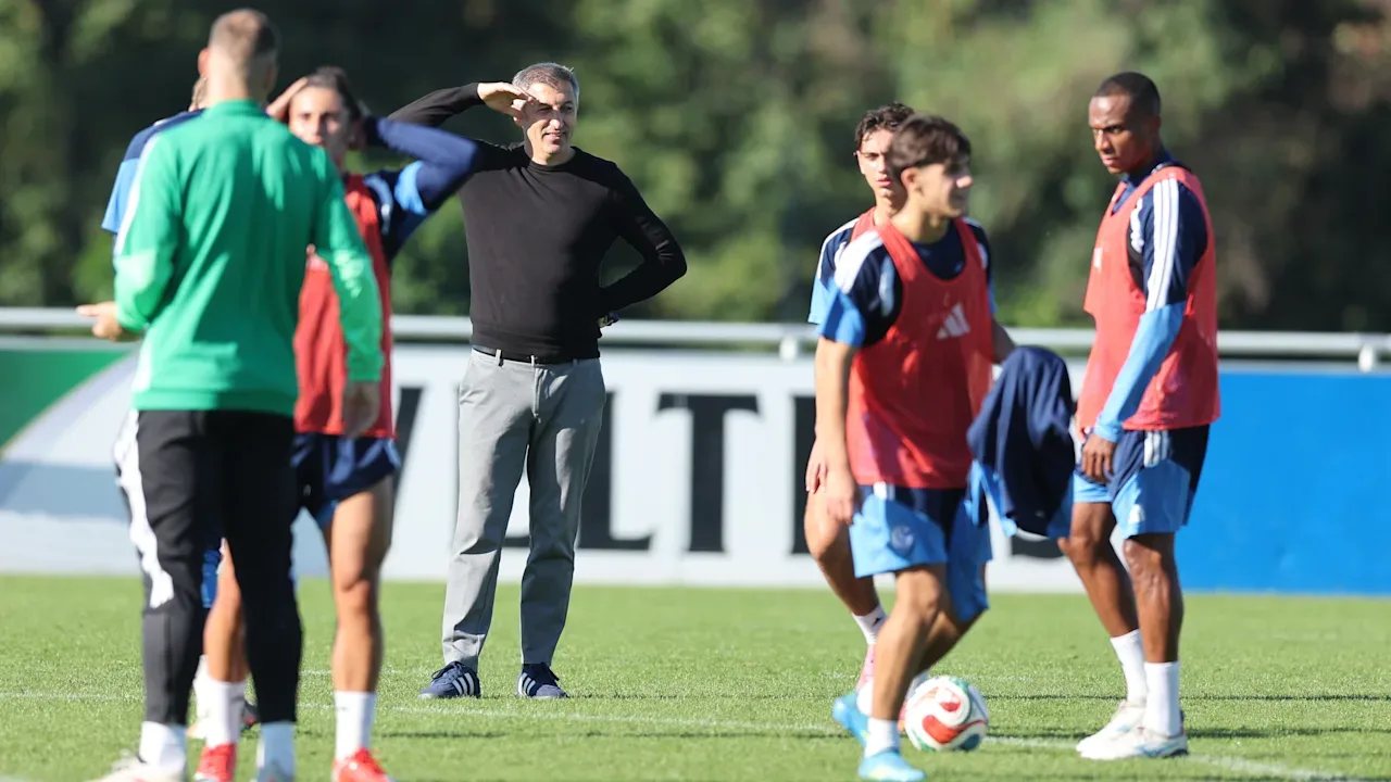 Artikelbild der Quelle zu: Ayhan Tumani, Knappenschmiede – Schalke plant neue Fußball-Philosophie!