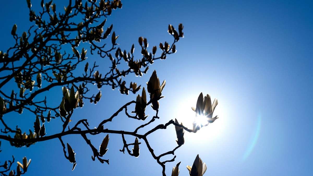 Artikelbild der Quelle zu: Goldener Oktober in NRW - doch das Wochenende bringt Regen