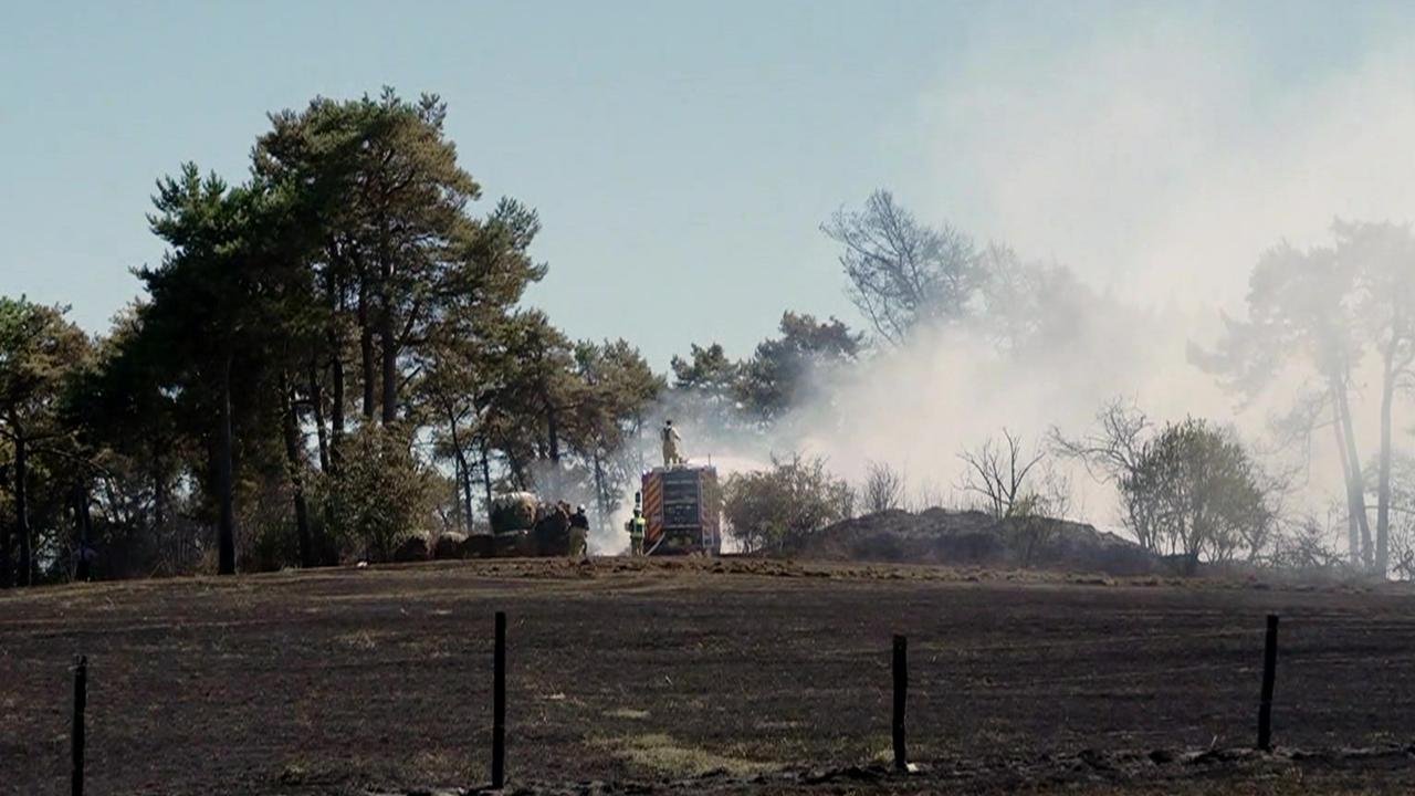 Artikelbild der Quelle zu: Größter Waldbrand in NRW: Waldbrände durch Dritte verursacht