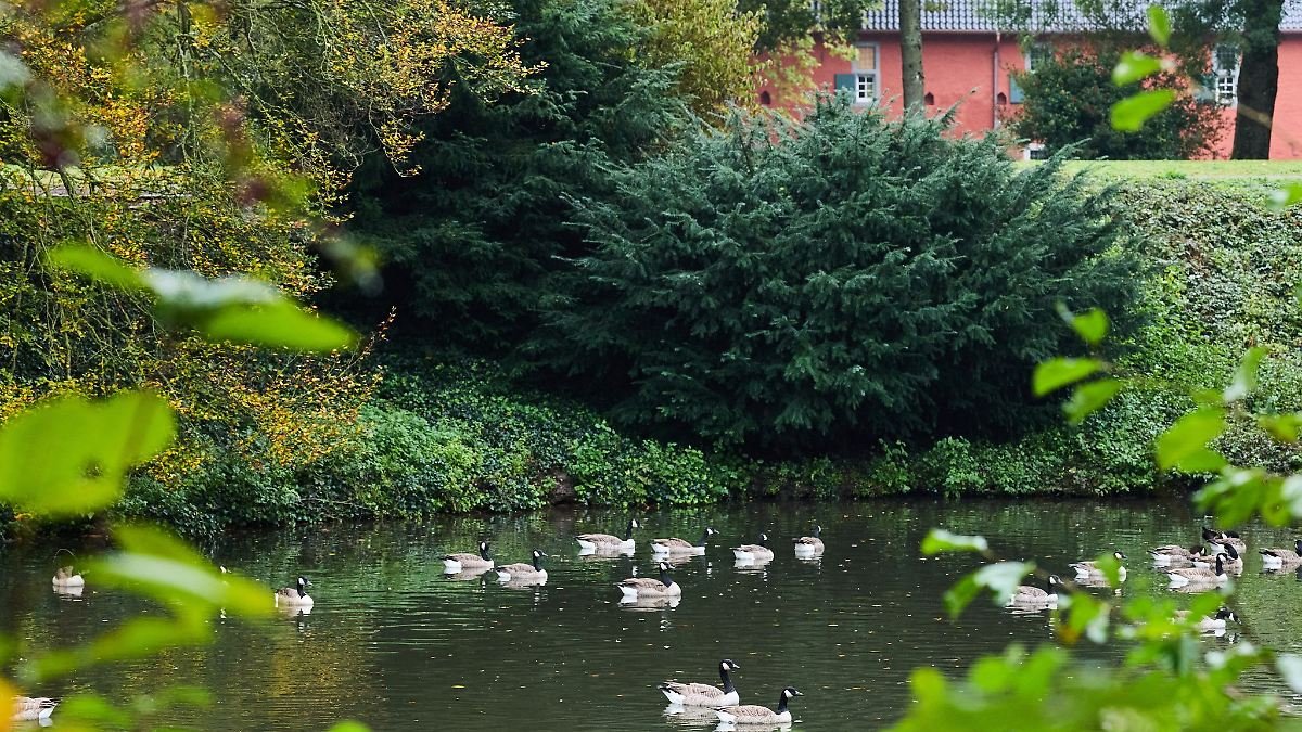 Artikelbild der Quelle zu: Nordrhein-Westfalen: Wolkig bis heiter - ruhiges Herbstwetter in NRW