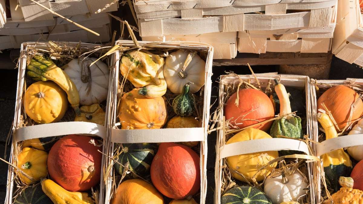 Artikelbild der Quelle zu: Herbstzauber mitten in NRW: Kirmes, Regionalmarkt und Einkaufen am Sonntag